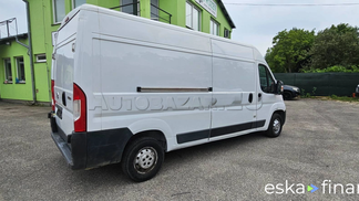 Lízing Van Fiat Ducato 2016