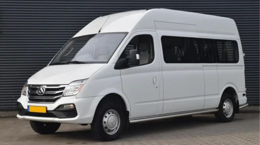 Maxus EV80 2018