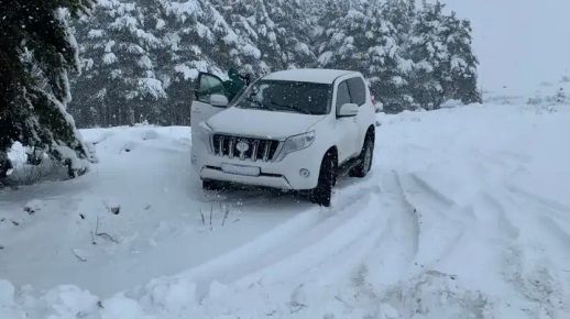 Toyota Land Cruiser 2017