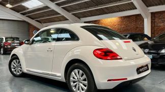 Leasing Sedan Volkswagen COCCINELLE 2013