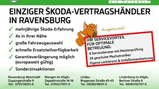Leasing Hatchback Skoda Fabia 2024