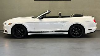 Financování Konvertibilní Ford Mustang 2016