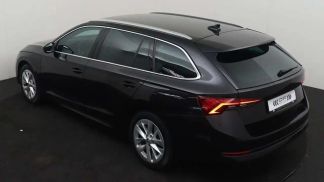 Leasing Wagon Skoda Octavia 2020