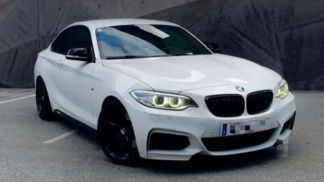 Lízing Kupé BMW 235 2014