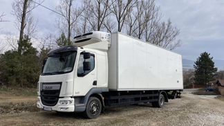 Leasing Special truck DAF LF220FA 2015