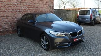 Lízing Kupé BMW 218 2014