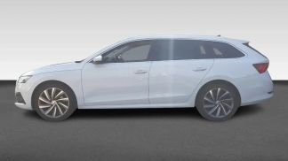 Leasing Wagon Skoda Octavia 2021