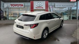 Leasing Wagon Suzuki Swace 2021