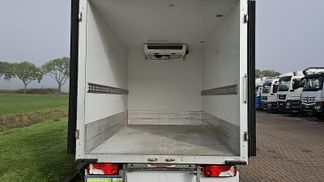 Leasing Refrigirated truck Mercedes-Benz SPRINTER 316 2021