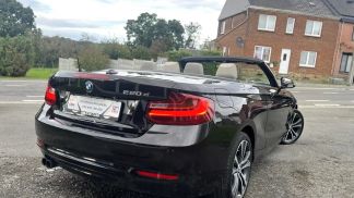 Lízing Kabriolet BMW 220 2015