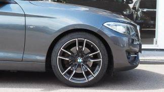 Lízing Kupé BMW 220 2014