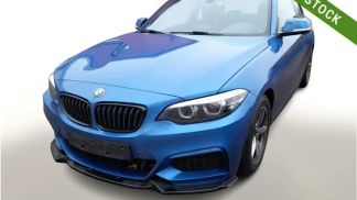 Lízing Kupé BMW 218 2020