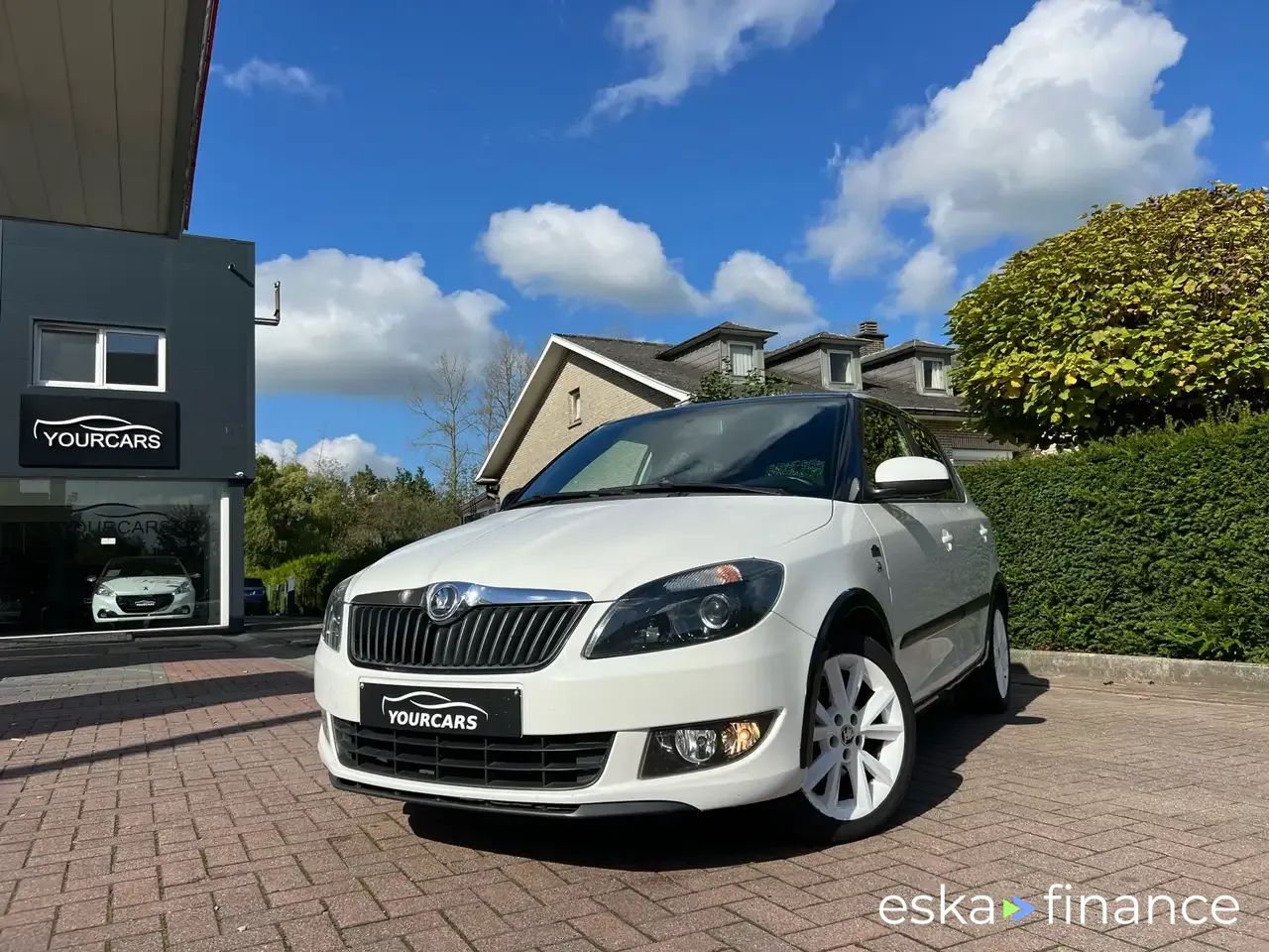 Leasing Sedan Skoda Fabia 2013