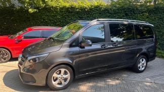 Leasing Hatchback MERCEDES V 220 2024