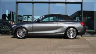 Financování Konvertibilní BMW 220 2018