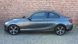 Lízing Kupé BMW 218 2014
