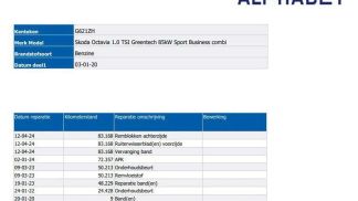 Leasing Wagon Skoda Octavia 2020