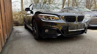 Lízing Kabriolet BMW 225 2018