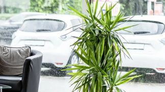 Financování Konvertibilní Fiat 500e 2022