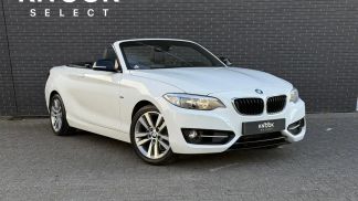Lízing Kabriolet BMW 218 2015