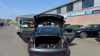 Leasing Hatchback Tesla Model 3 2019