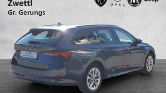 Leasing Wagon Skoda Octavia 2021
