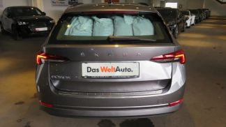 Leasing Wagon Skoda Octavia 2023