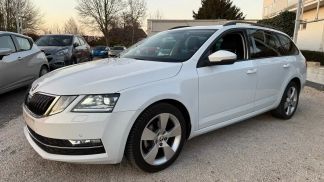 Leasing Wagon Skoda Octavia 2019