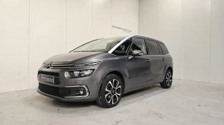 Leasing Passenger transport Citroën C4 SpaceTourer 2019