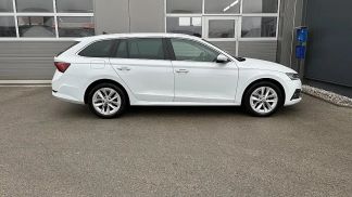Leasing Wagon Skoda Octavia 2022