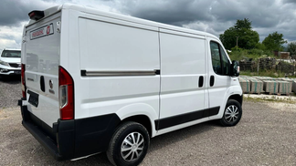 Van Fiat Ducato 2019