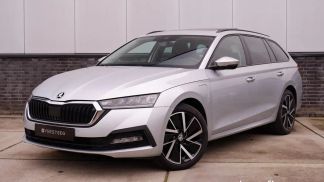 Leasing Wagon Skoda Octavia 2021