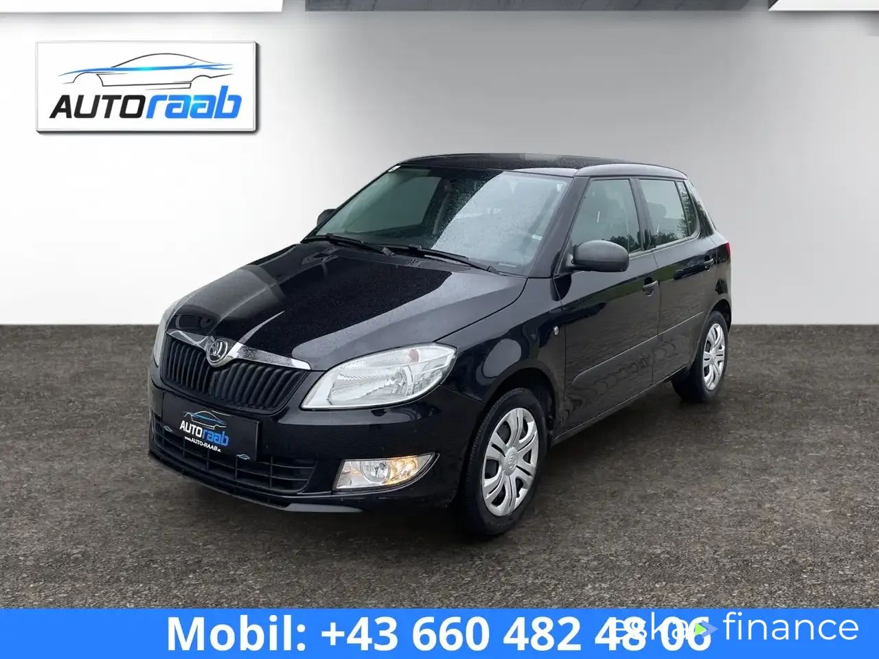 Leasing Hatchback Skoda Fabia 2014