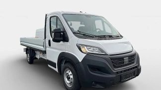 Leasing Sedan Fiat Ducato 2024