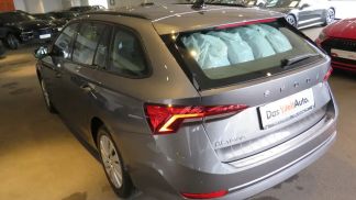 Leasing Wagon Skoda Octavia 2023