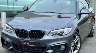 Lízing Kupé BMW 220 2016