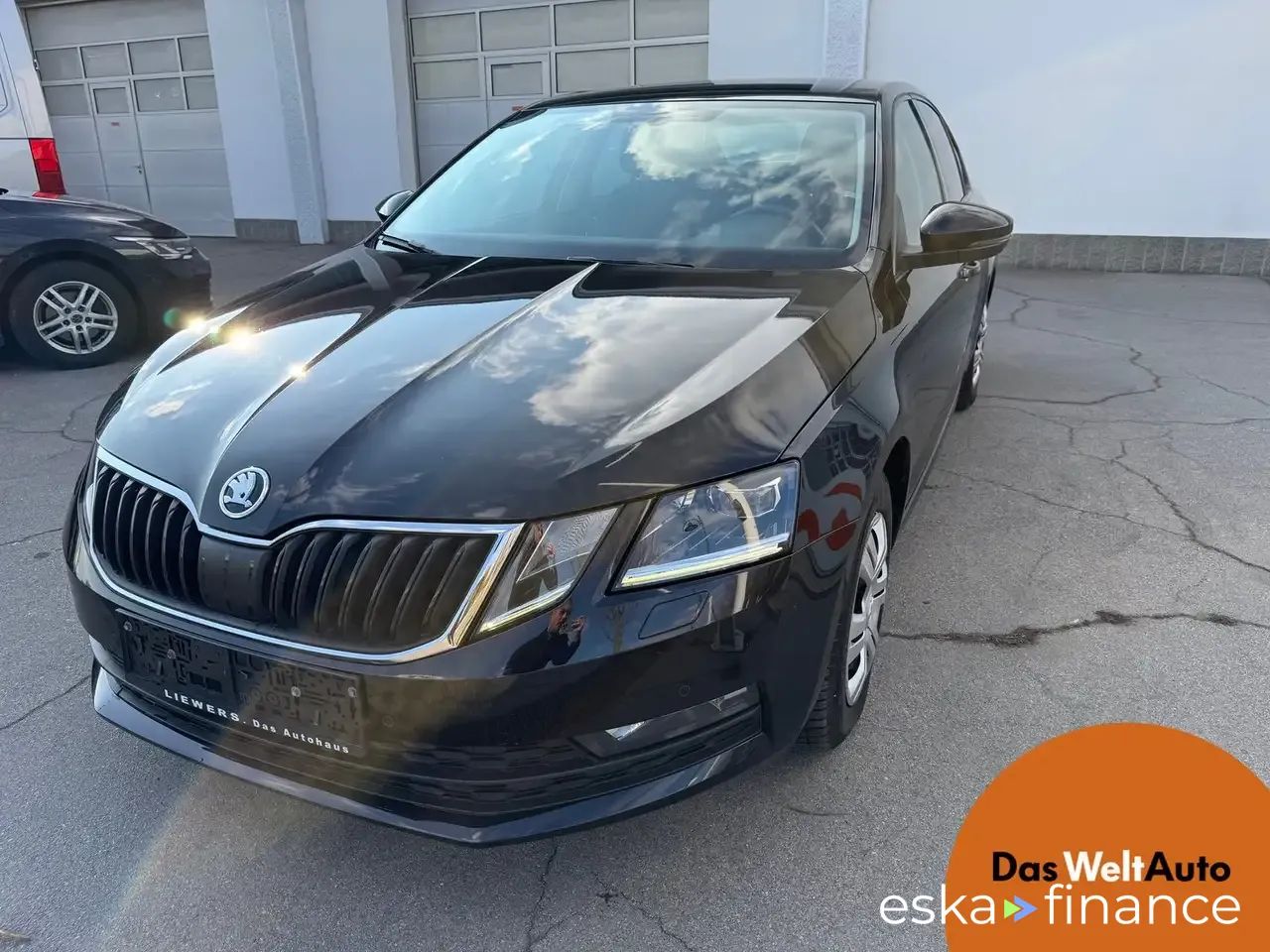 Finansowanie Sedan Skoda Octavia 2019