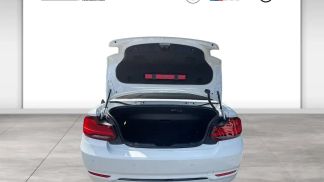 Financování Konvertibilní BMW 220 2020