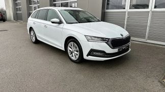 Leasing Wagon Skoda Octavia 2022