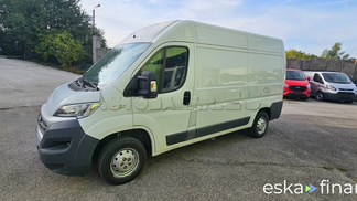 Lízing Van Fiat Ducato 2017