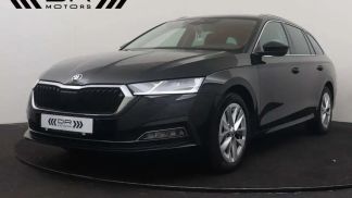 Leasing Wagon Skoda Octavia 2020