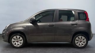 Leasing Hayon Fiat Panda 2018