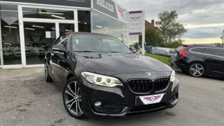 Lízing Kabriolet BMW 220 2015