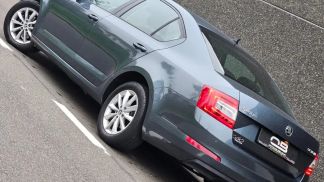 Finansowanie Sedan Skoda Octavia 2016