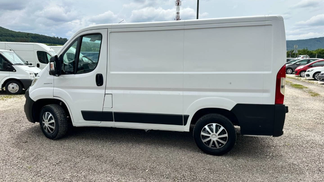 Van Fiat Ducato 2019