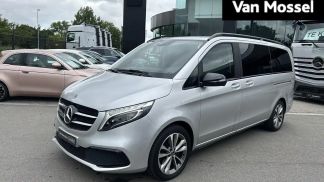 Leasing Hatchback MERCEDES V 220 2021