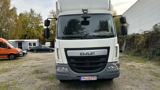 Leasing Special truck DAF LF 250 FA 2014