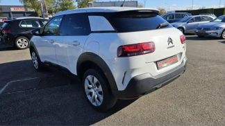 Leasing Wagon Citroën C4 Cactus 2019