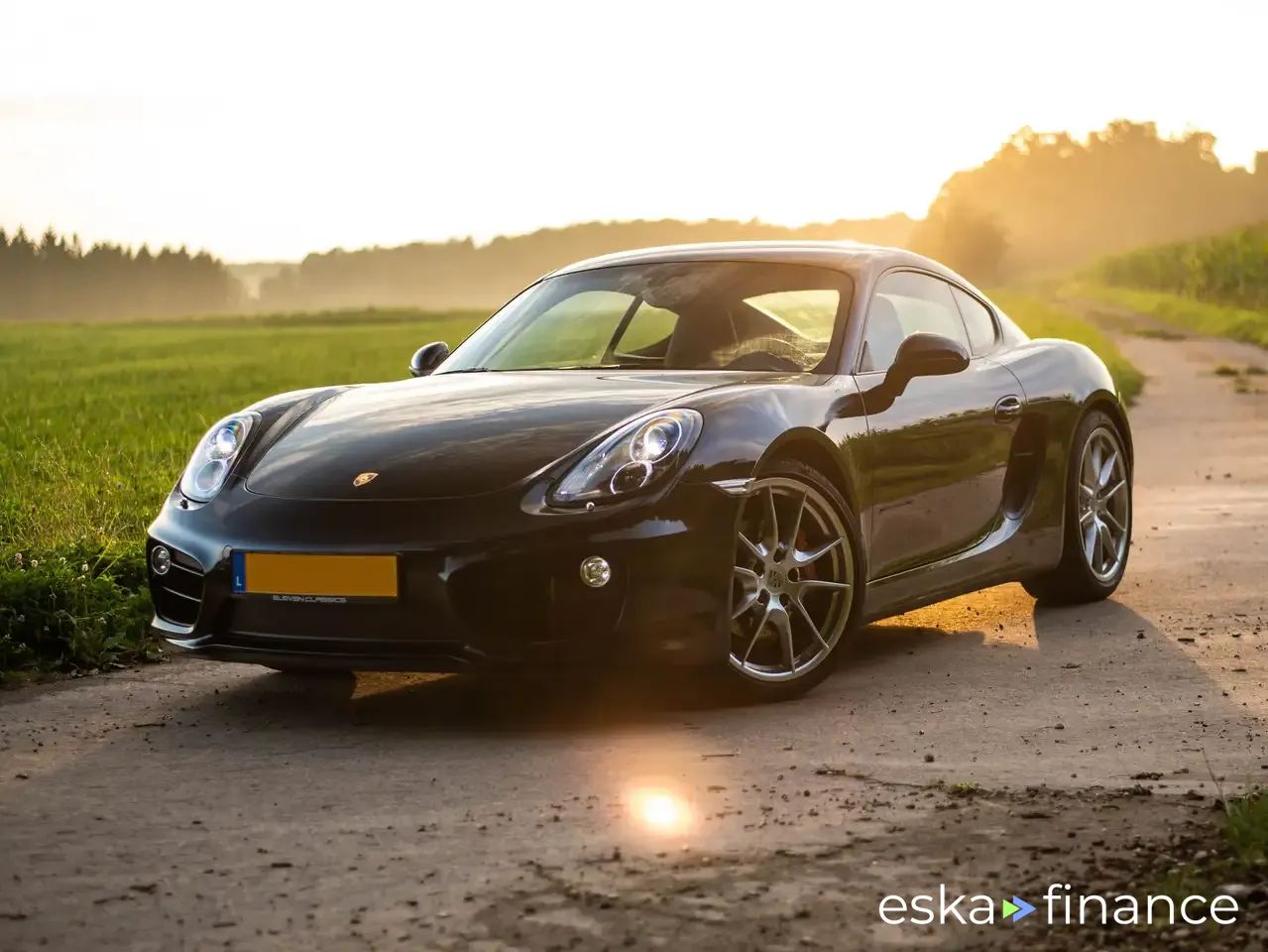 Coupé Porsche Cayman 2013