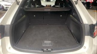 Leasing Wagon Suzuki Swace 2021